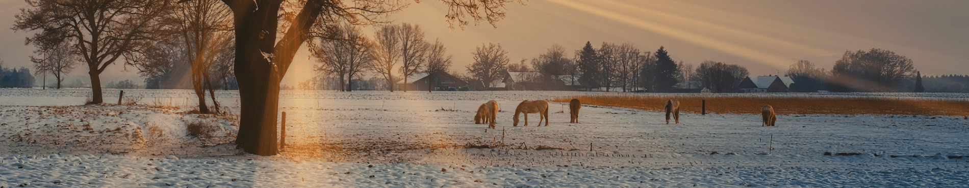 Expert Français en clôture depuis 20 ans