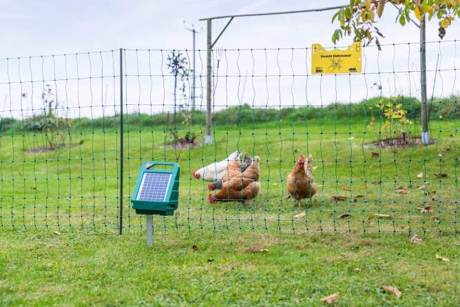 Kit filet à volaille 50 m vert avec électrificateur