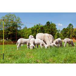 Matériel De Clôture électrique Pour Animaux Cloturepro