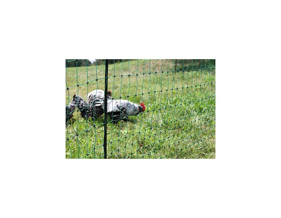 Filet électrique vert de 50 mètres pour volailles-Clôture Agro Direct