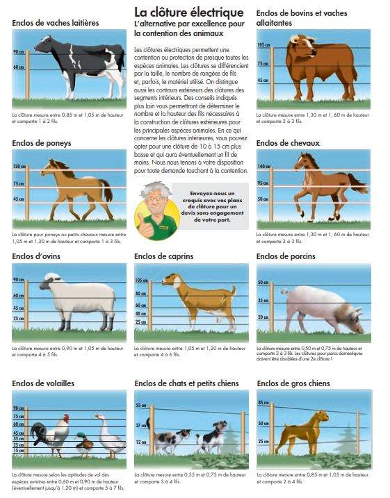 Les hauteurs de clôture électrique - Généralités de clôture électrique