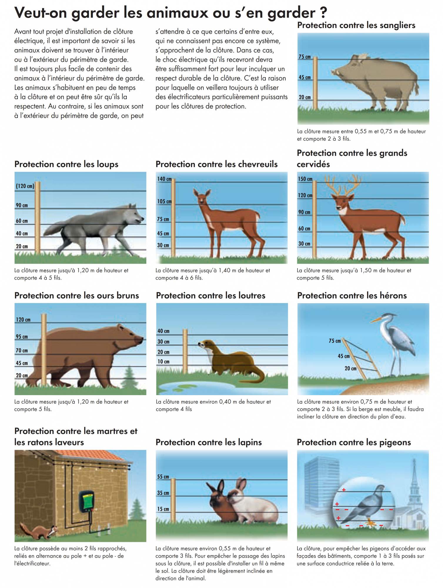 Les hauteurs de clôture électrique - Généralités de clôture électrique